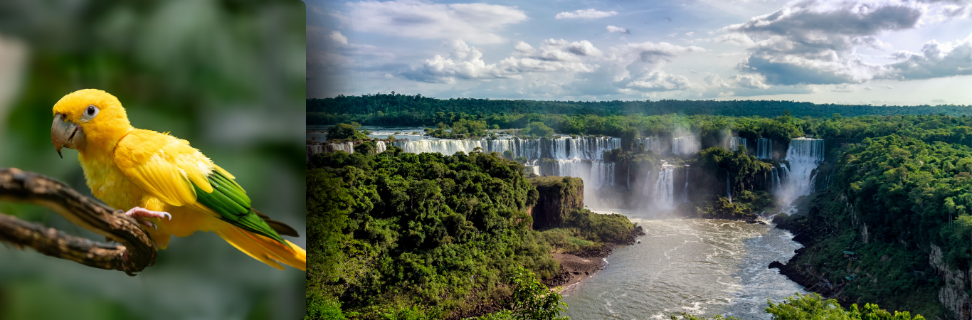Feriadão 7 setembro nas Cataratas - Foz do Iguaçu - Paraguai